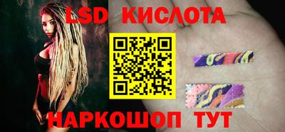 стаф Краснодар