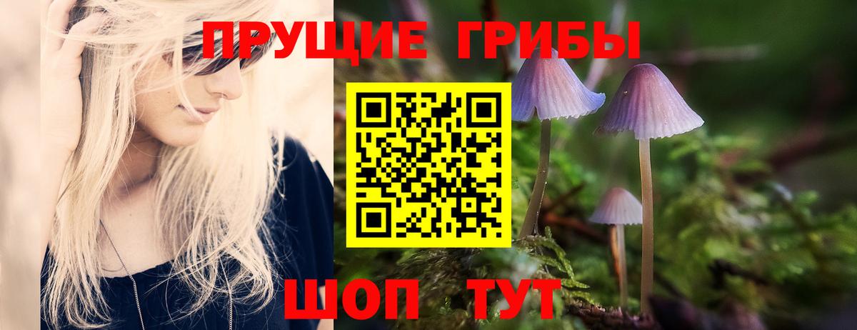 Псилоцибиновые грибы мухоморы  Псилоцибиновые грибы ЛСД  Вход с VPN  Алушта 